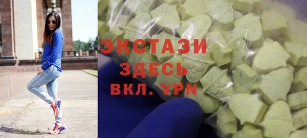сатива Болотное