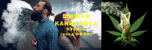 сатива Болотное