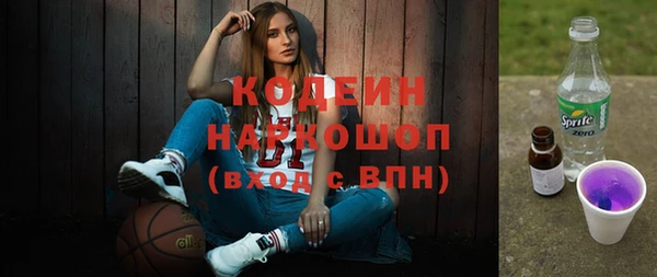 сатива Болотное