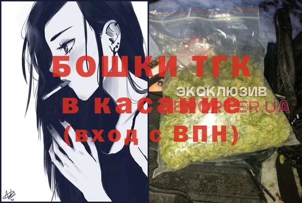 сатива Болотное