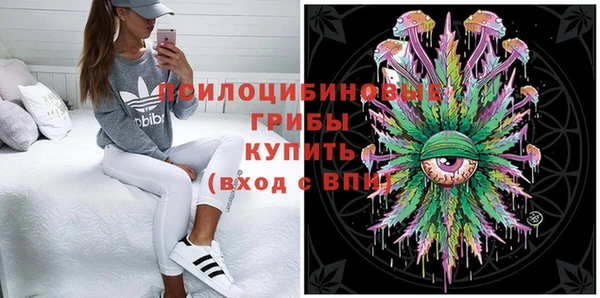 дмт Болхов