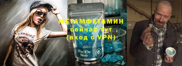сатива Болотное