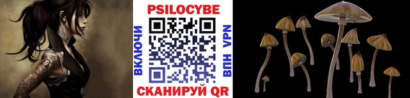 даркнет официальный сайт  Карталы  Псилоцибиновые грибы Psilocybine cubensis  где купить наркоту 
