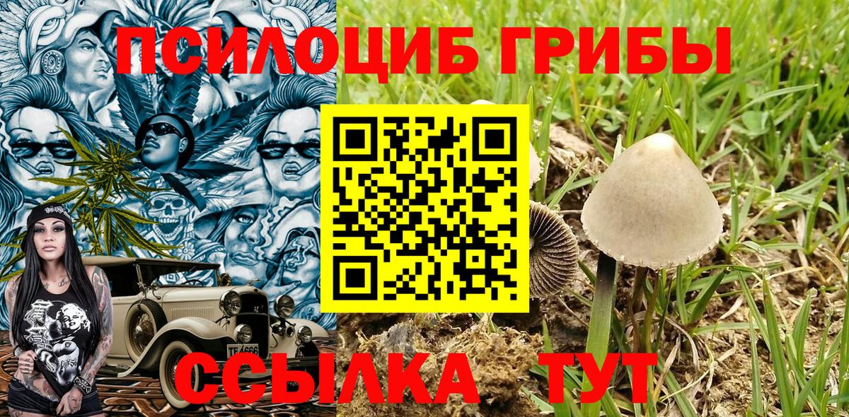 Карталы  Галлюциногенные грибы Magic Shrooms  Галлюциногенные грибы Psilocybine cubensis  где продают   Вход с VPN 