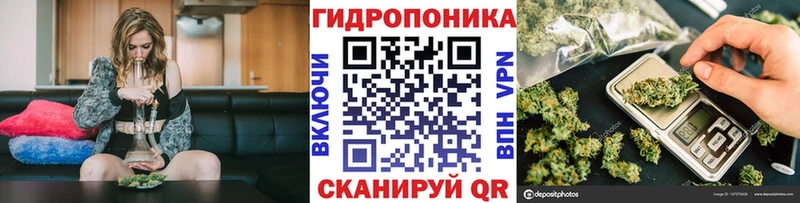 где найти   Карталы  дарк нет Telegram  Канабис семена 